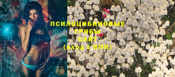 сатива Мегион