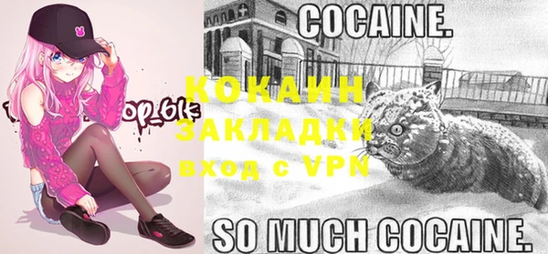 сатива Мегион