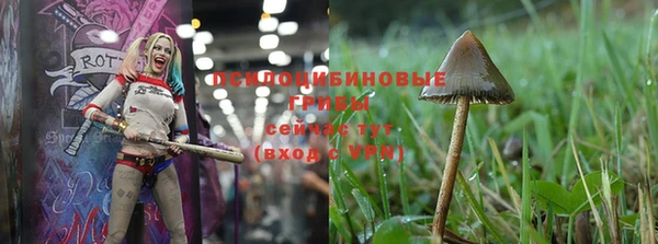ALPHA-PVP Медвежьегорск